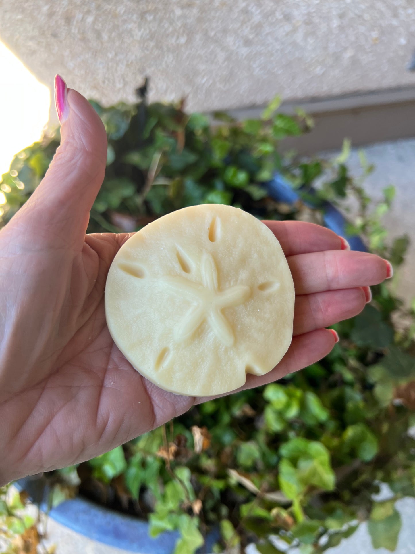 Solid Lotion Bar